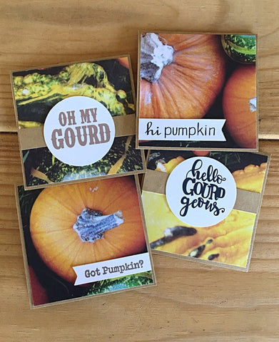 Fall Gourd Mini Note Cards Set of 4 for Lunchbox Notes and Gift Tags